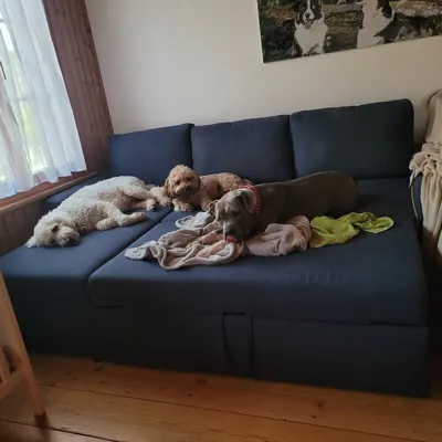 Hundehort Bonnie&Clyde, Bild 6