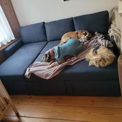 Hundehort Bonnie&Clyde, Bild 7