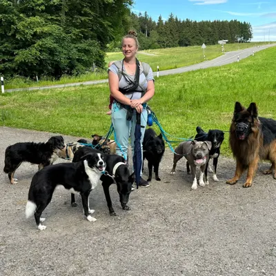 Hundehort Bonnie&Clyde, Bild 9