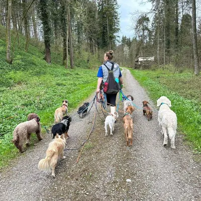 Hundehort Bonnie&Clyde, Bild 11