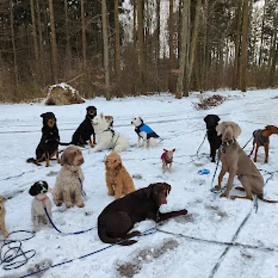 Hundehort Bonnie&Clyde, Bild 13
