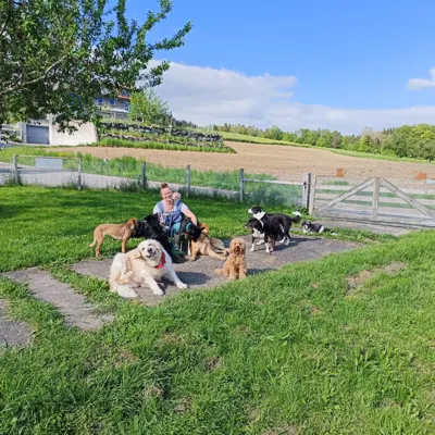 Hundehort Bonnie&Clyde, Bild 17