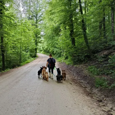 Hundehort Bonnie&Clyde, Bild 18