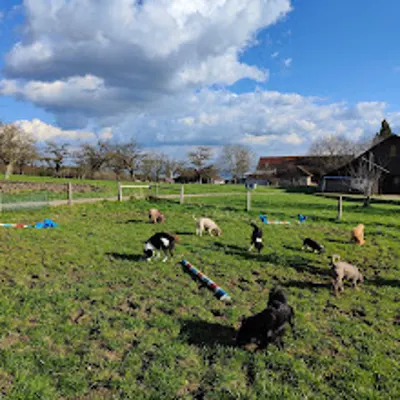 Hundehort Bonnie&Clyde, Bild 19