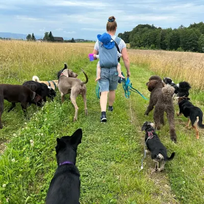 Hundehort Bonnie&Clyde, Bild 22